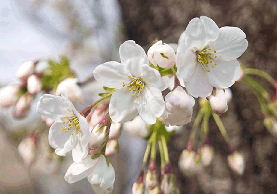 �I�I�V�}�U�N��