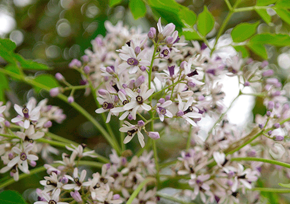 �Z���_��