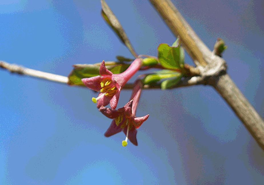 �E�O�C�X�J�O��