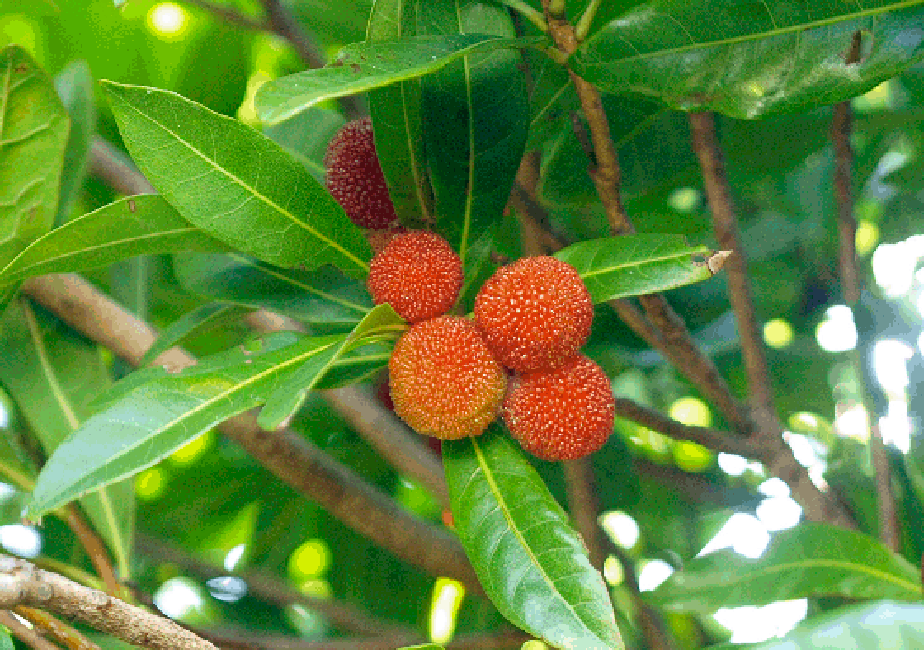 ���}����