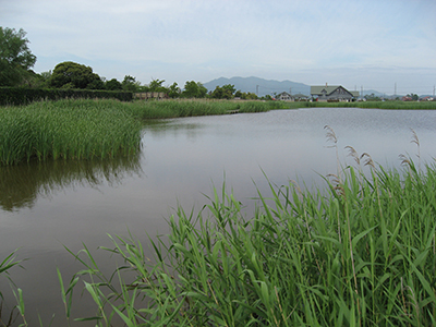 �ʐ^�̐���