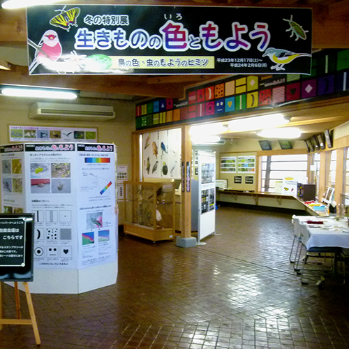 �ʐ^�̐���