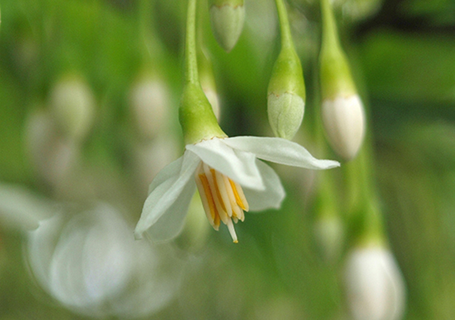 �ʐ^�̐���