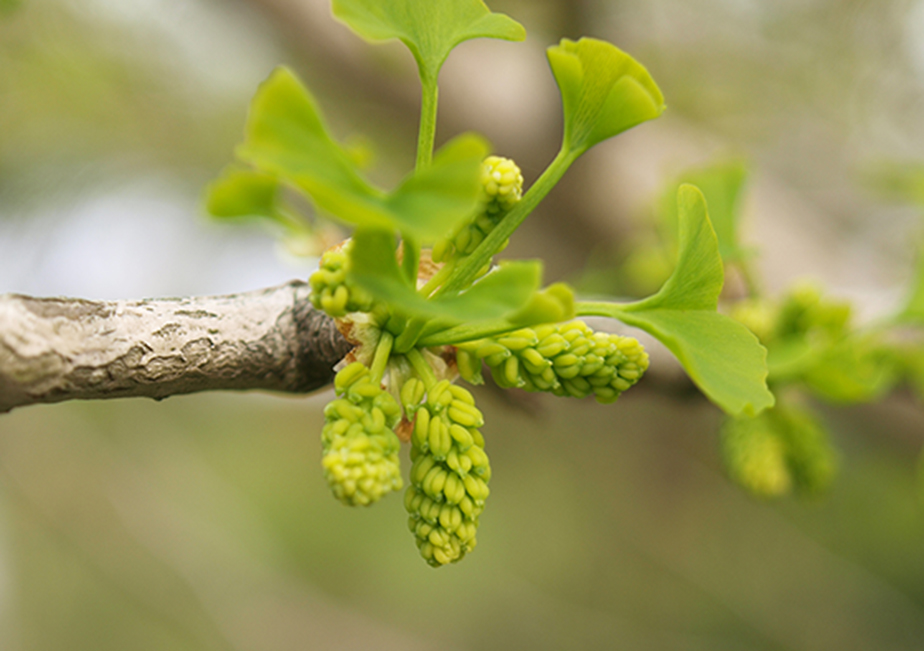 �ʐ^�̐���