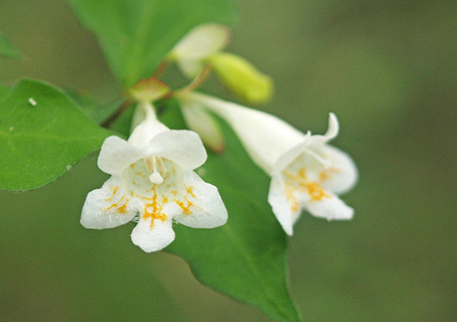 �ʐ^�̐���