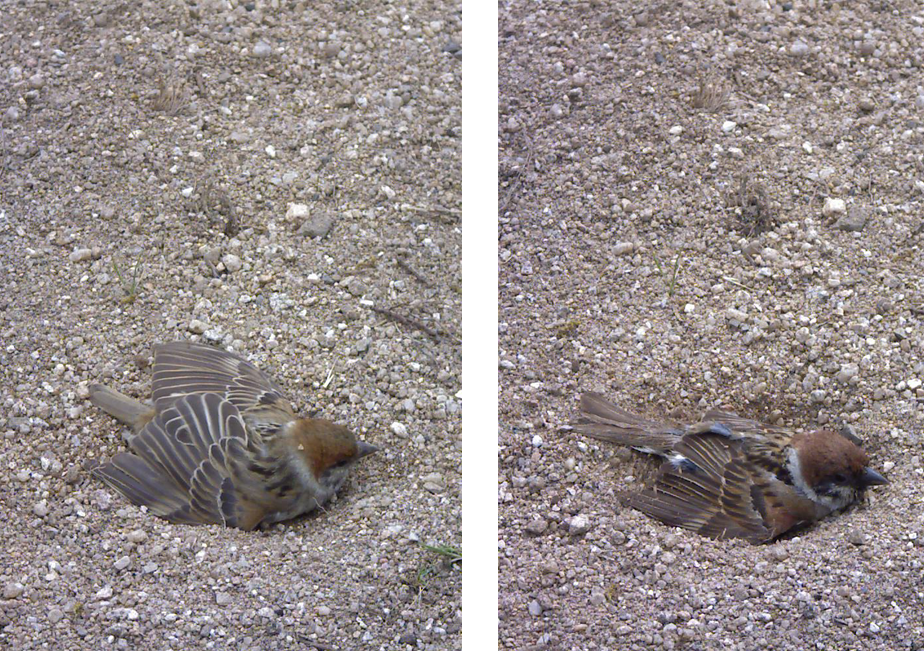 �X�Y�����V��