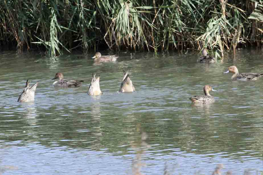 �I�i�K�K��