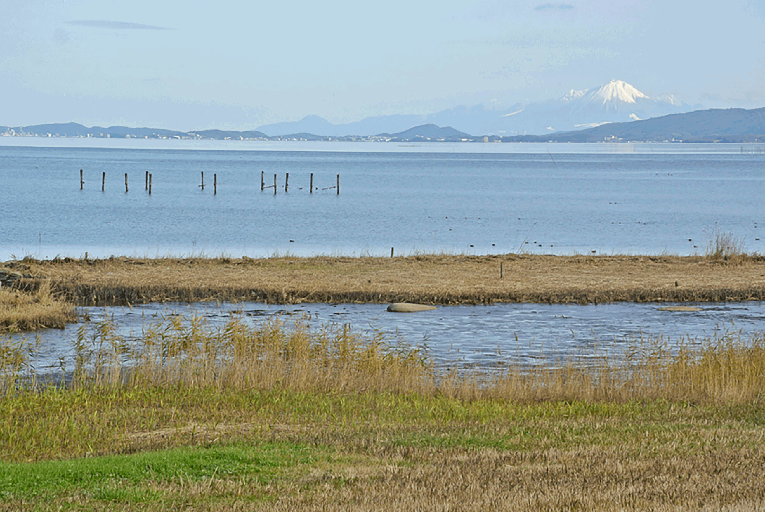 �O���[���p�[�N����̑�R