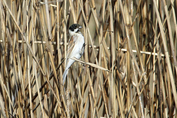 �I�I�W������