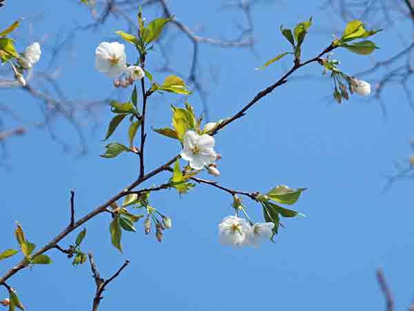 �I�I�V�}�U�N��