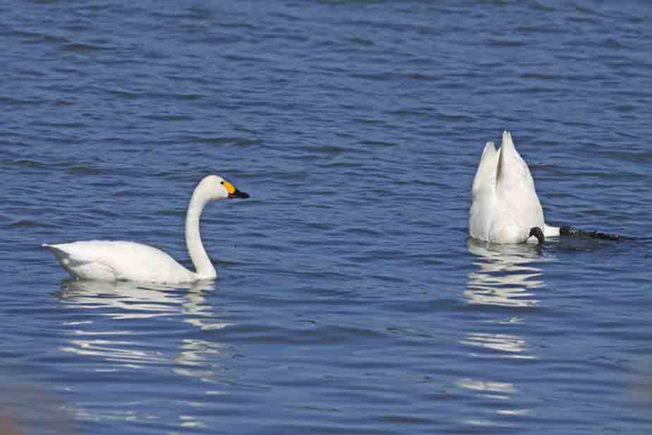 �R�n�N�`���E