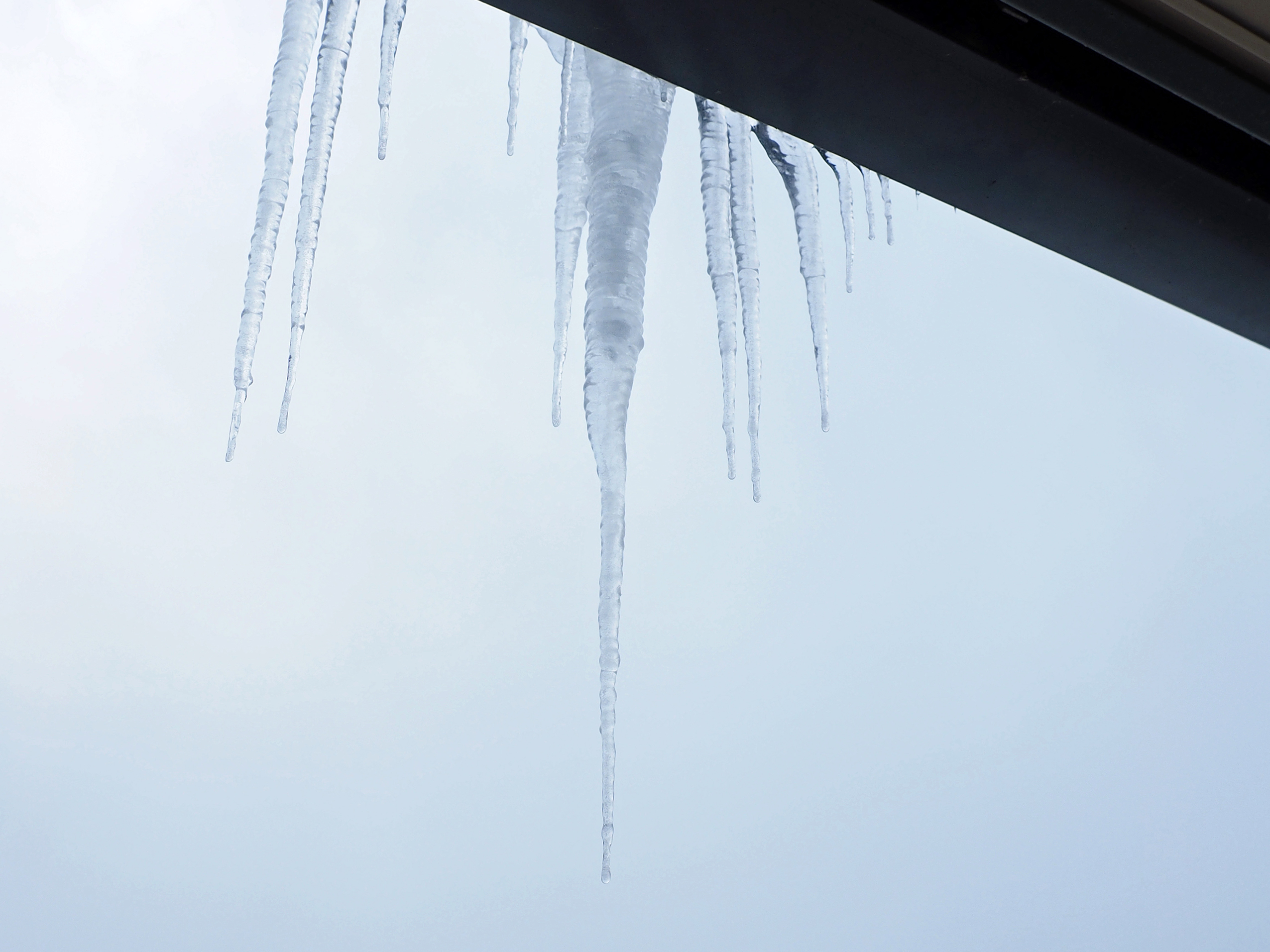 �������