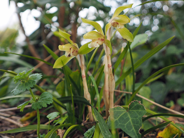 �V��������