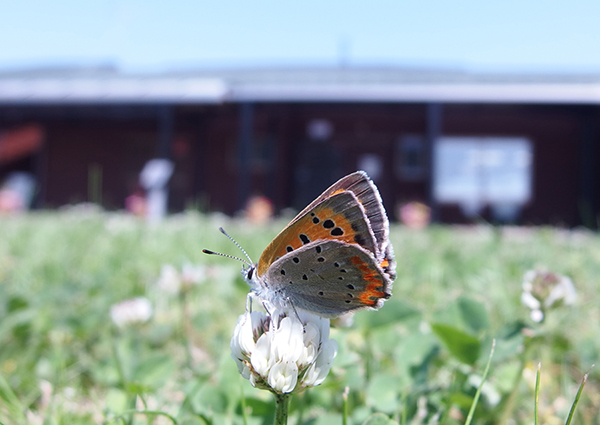 �x�j�V�W�~