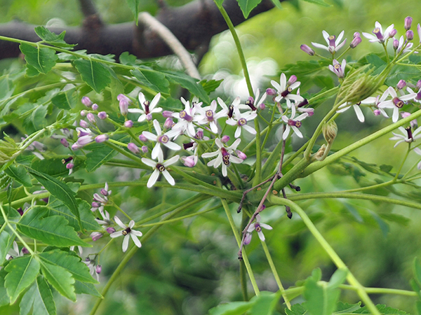 �Z���_��