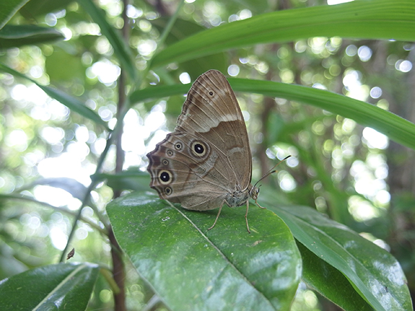 �q�J�Q�`���E