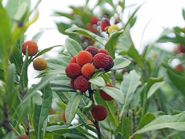 ���}����