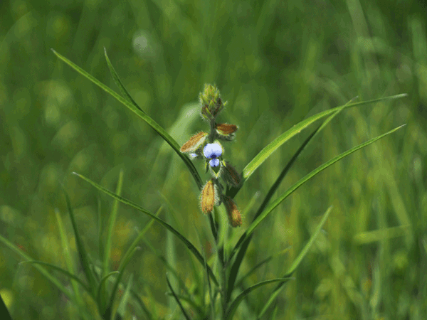 �^�k�L�}��