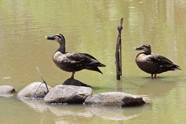 �J���K��