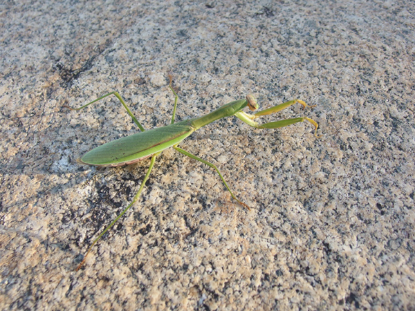 �I�I�J�}�L��