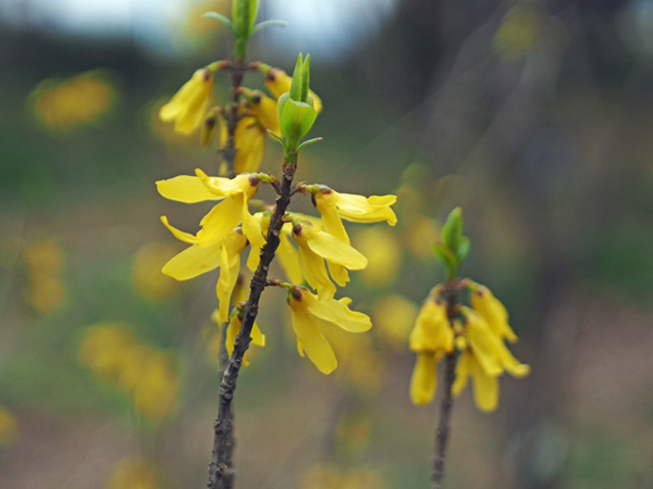 �����M���E