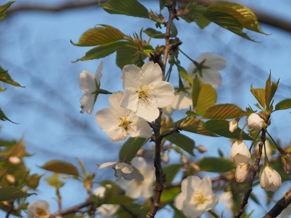 �I�I�V�}�U�N��