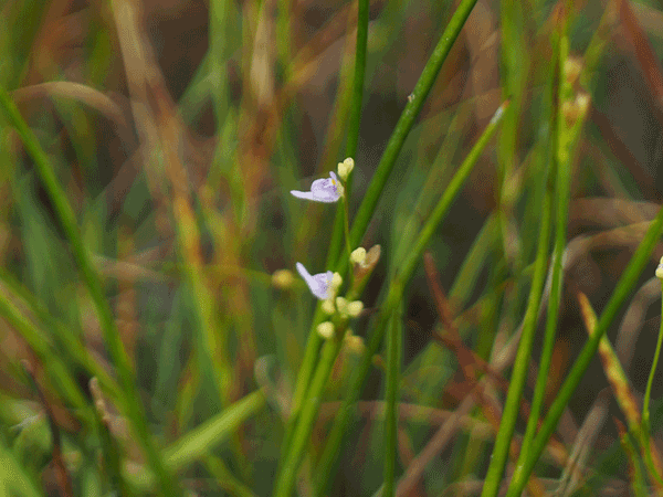 �z�U�L�m�~�~�J�L�O�T