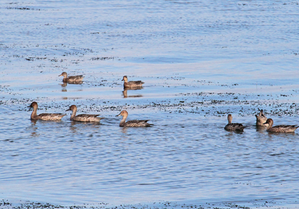 �I�i�K�K��