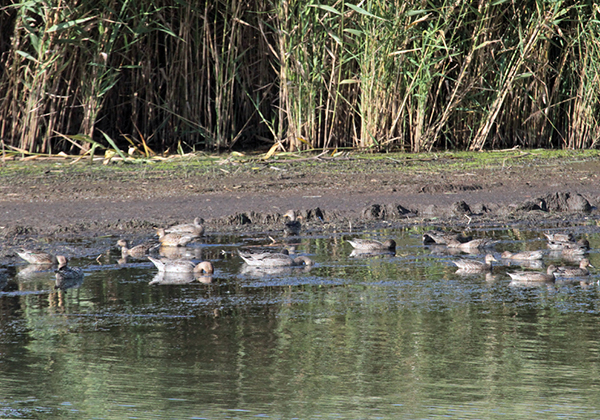 �I�i�K�K�����R�K��