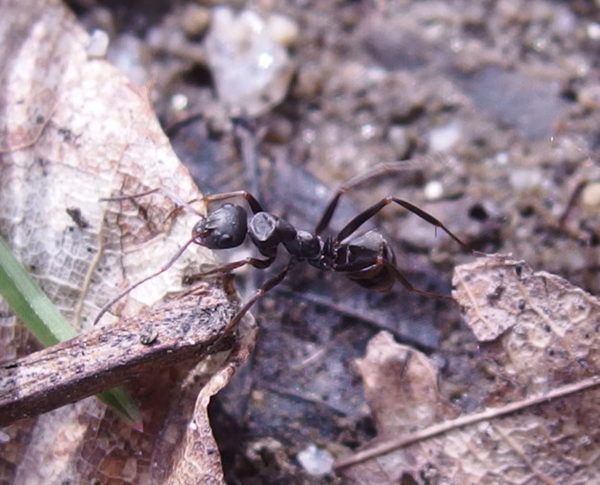 �N�����}�A��