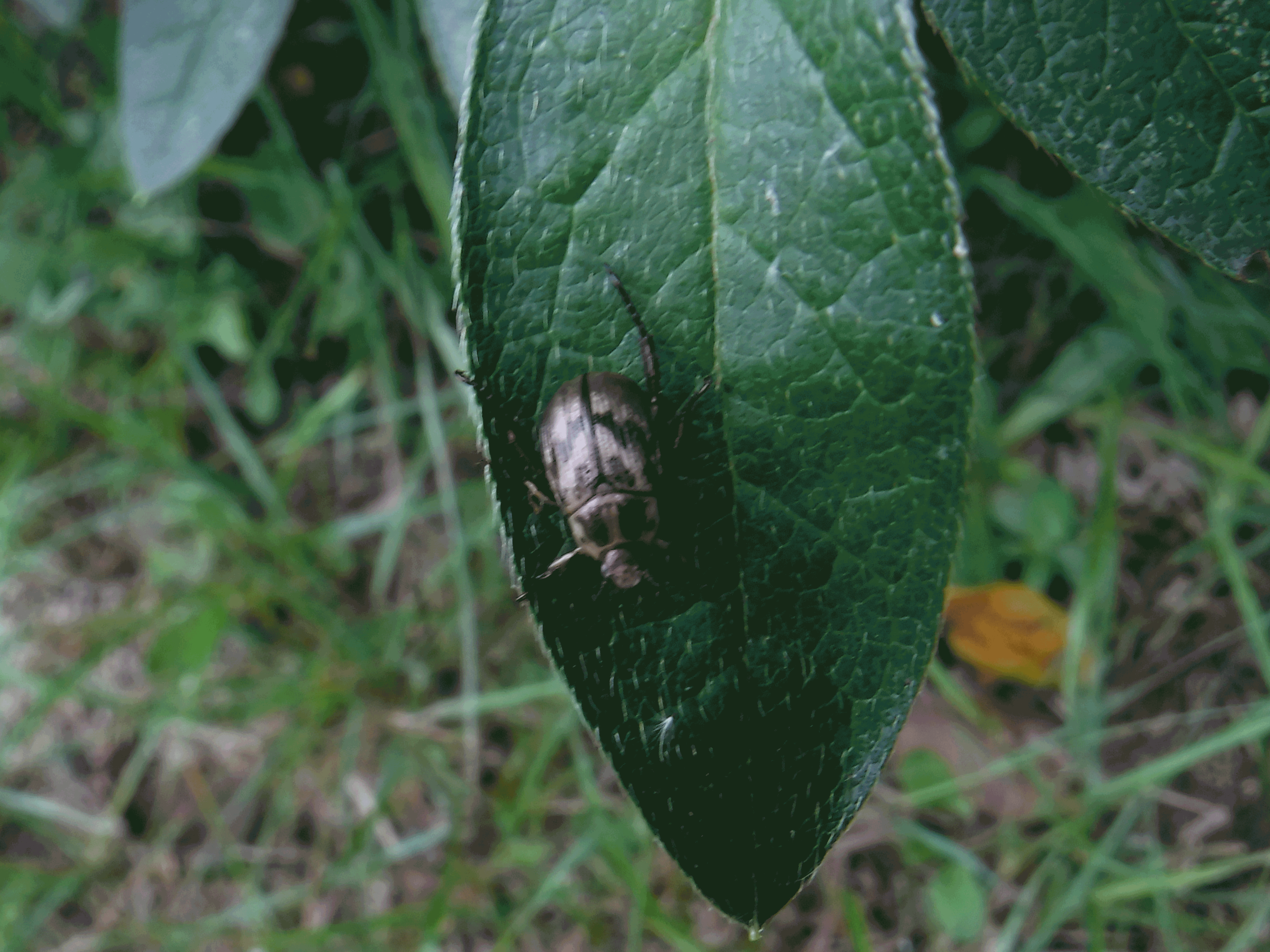 �Z�}�_���R�K�l