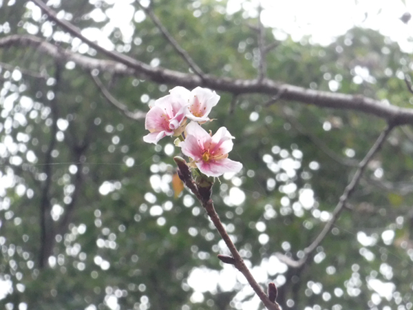 ���}�U�N��