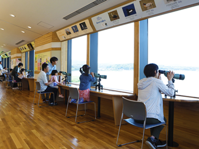 野鳥観察舎 野鳥観察舎