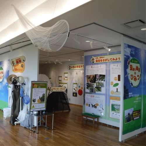 虫採り道具のひみつ