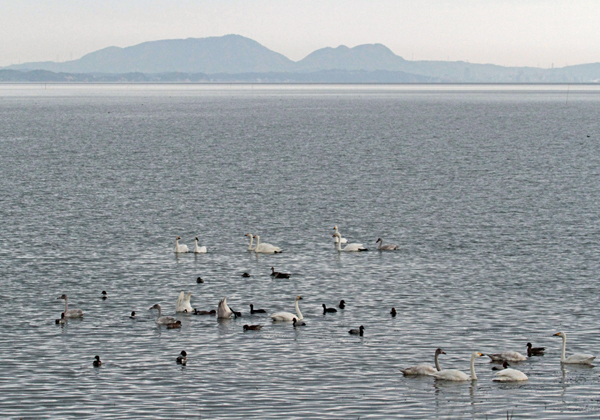 �R�n�N�`���E