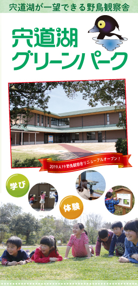 �ʐ^�̐���