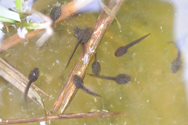 �j�z���A�J�K�G���I�^�}�W���N�V