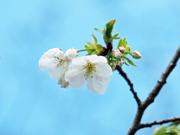 �I�I�V�}�U�N��