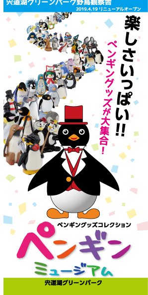 �ʐ^�̐���