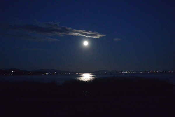 �����΂̌�