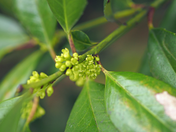 �^�����E