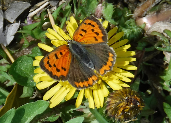 �x�j�V�W�~