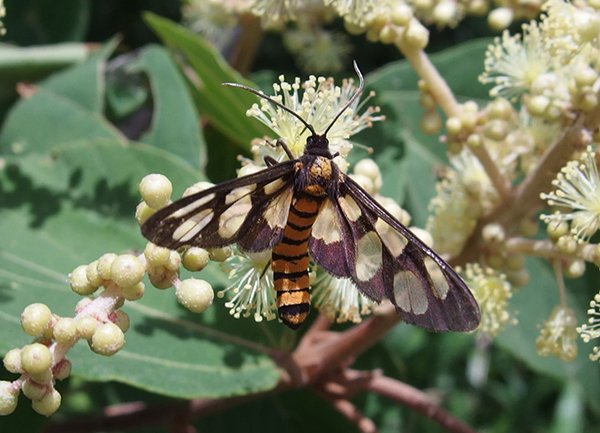 �L�n�_�J�m�R