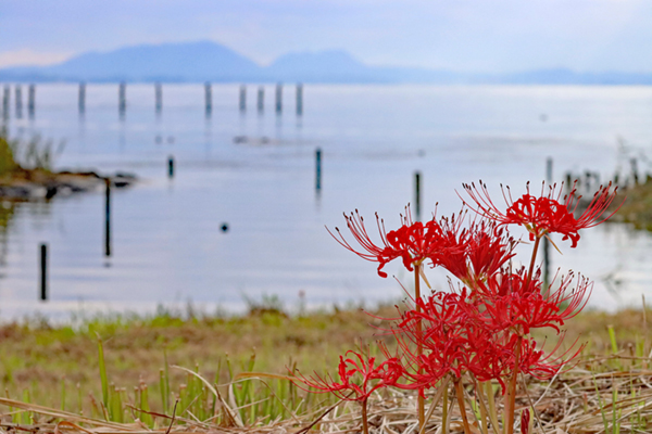 �q�K���o�i