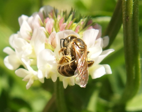 �A�J�K�l�R�n�i�o�`