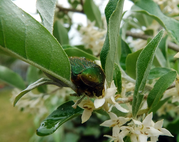 �n�i���O��