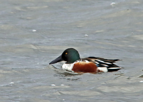 �n�V�r���K��