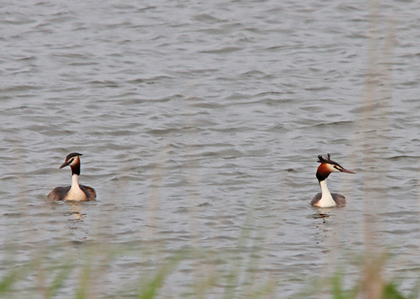 �J�������J�C�c�u��