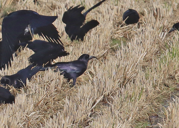 �~���}�K���X