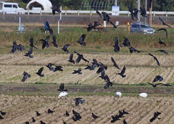 �~���}�K���X